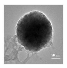 苯硼酸修飾磁性殼聚糖的制備方法及其選擇性分離莽草酸的應用