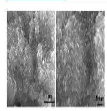 基于含銅金屬有機框架衍生的分級多孔磷化銅/碳水解電催化劑的制備方法及其應用