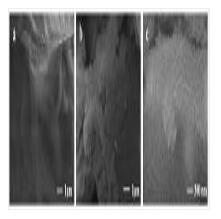 一種功能化建筑廢棄物材料及其資源化利用的制備方法