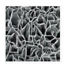 一種SmMoO4(OH)-Ni(OH)2納米片的制備方法