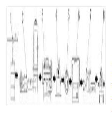 一種鋼桶一站式翻新系統(tǒng)及其使用方法