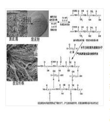 一種煤化工固廢粗渣表面封堵涂層及其制備方法和應用