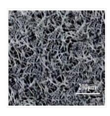 一種面膜的制配方法