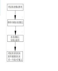 一種高分子膜及高分子膜制造方法