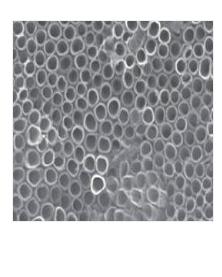 一種口罩的制備方法