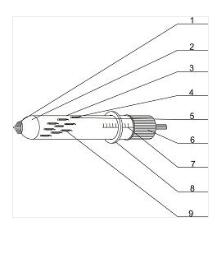 一種婦科用取樣及給藥裝置