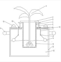 一種實驗室內(nèi)營養(yǎng)液花生培育裝置及其使用方法